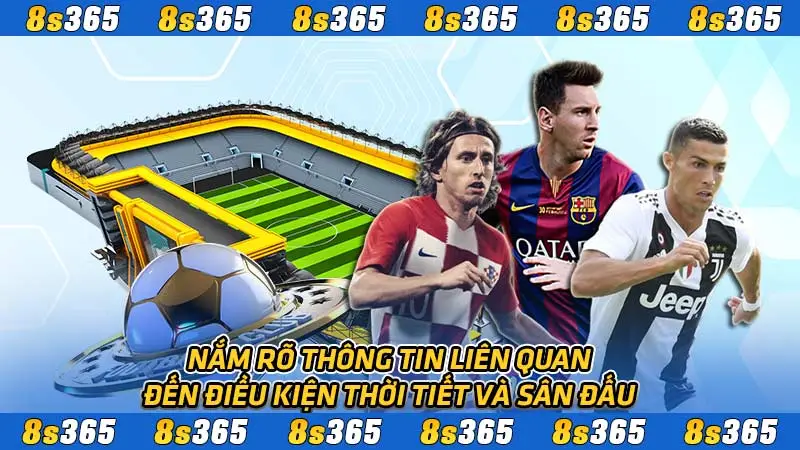 Nắm rõ thông tin liên quan đến điều kiện thời tiết và sân đấu